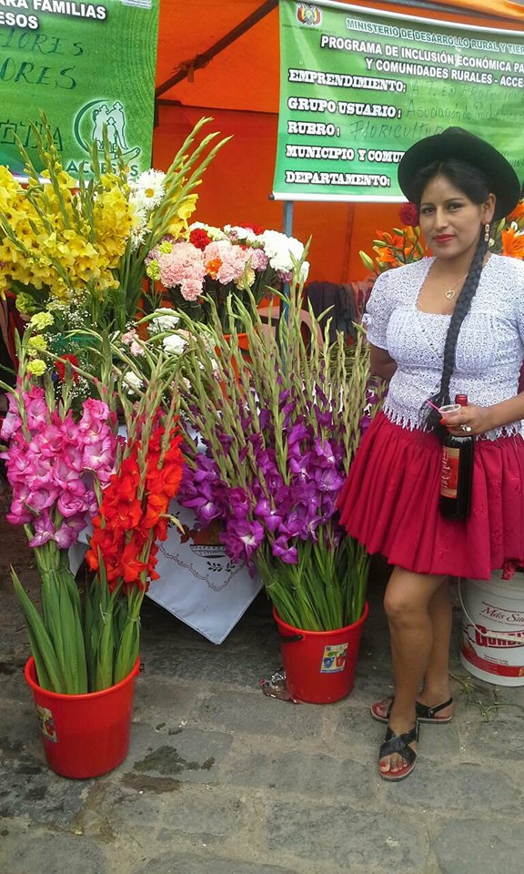 Emprendimiento de claveles y gladiolos empieza a arrojar resultados