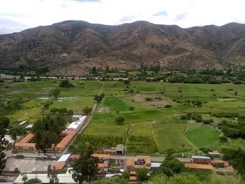 Enjambre de abejas ataca a alumnos y profesores en Yapusiri Enjambre de abejas ataca a alumnos y profesores en Yapusiri