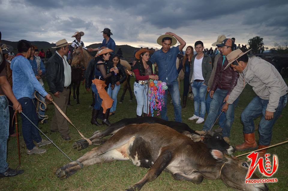 Está en marcha la VI Feria Integral Ganadera Agrícola de El Palmar