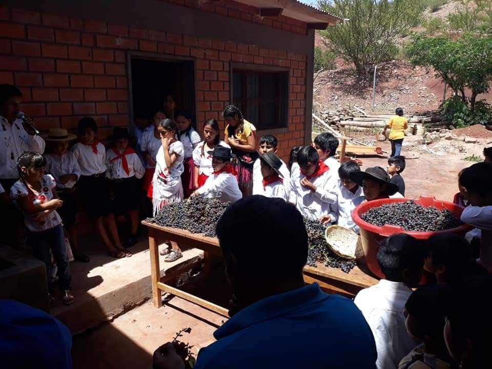 Gran entusiasmo en la preparación de Vendimia de la Escuela Jaime Mendoza de Las Carreras