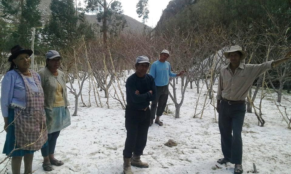 Granizada deja sin producción a dos comunidades de Camargo Granizada deja sin producción a dos comunidades de Camargo