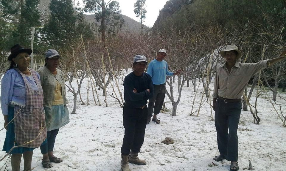 Granizada deja sin producción a dos comunidades de Camargo