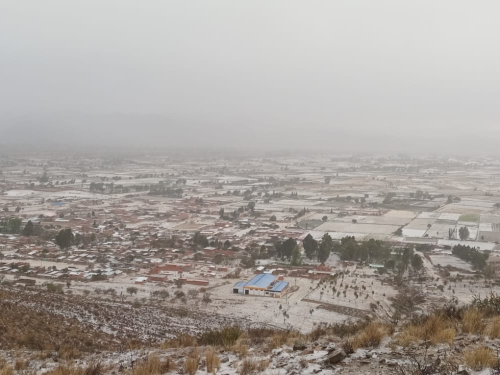 Granizada en Culpina daña los cultivos de 800 hectáreas