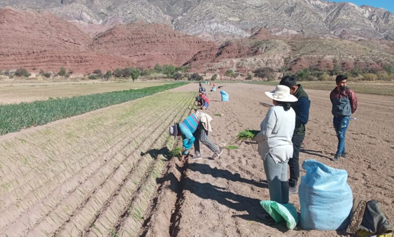 Habilitarán y rehabilitarán tierras en Las Carreras con Bs 1.5 millones