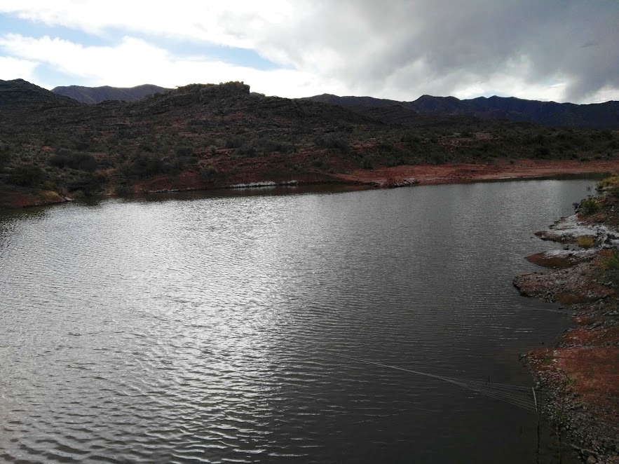 Higuerayoc abre la venta de pez carpa fresco “del agua al plato”