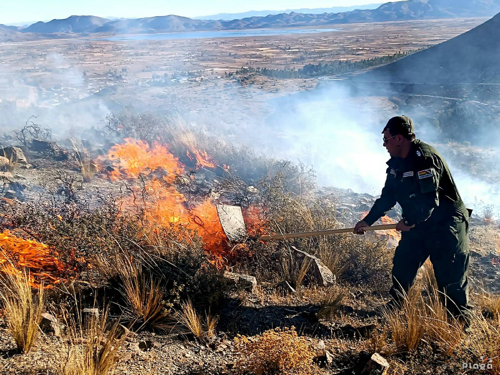 Incendio de proporciones arrasa con vegetación en El Tranque Incendio de proporciones arrasa con vegetación en El Tranque
