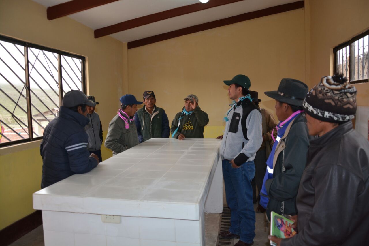 Productores de camélidos estrenan matadero y secadoras de carne