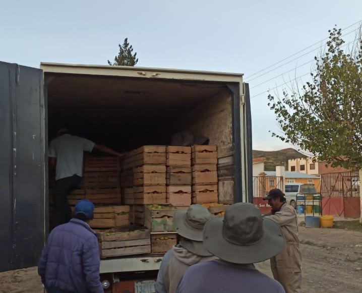 Productores de Culpina participarán de la II Feria de la Manzana en Montero