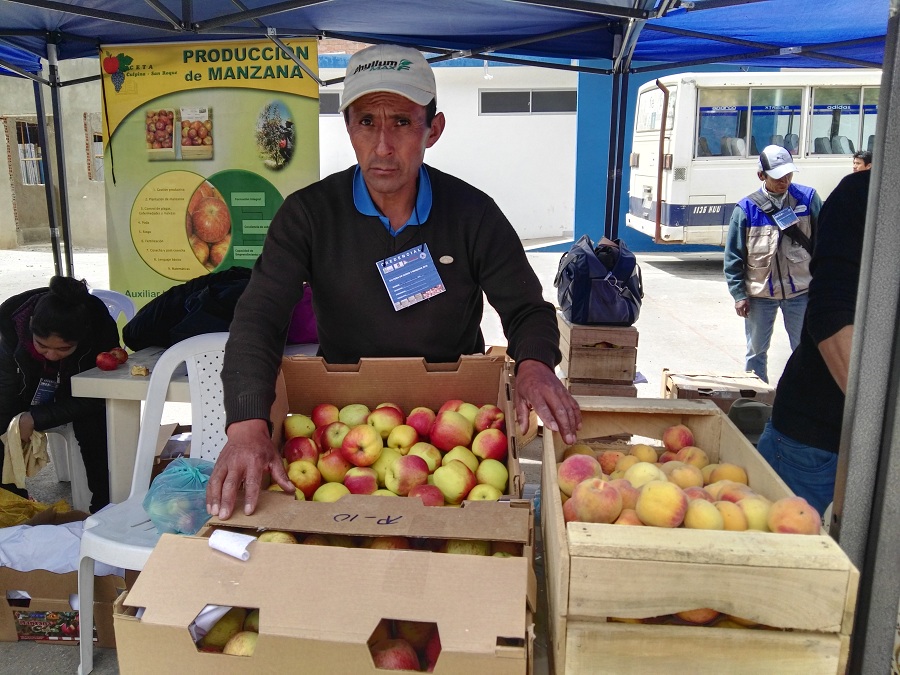Productores de manzana participan en la feria de la Pascua de Sucre