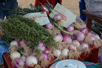 Productores de Ocurí participan en feria y quieren más riego tecnificado