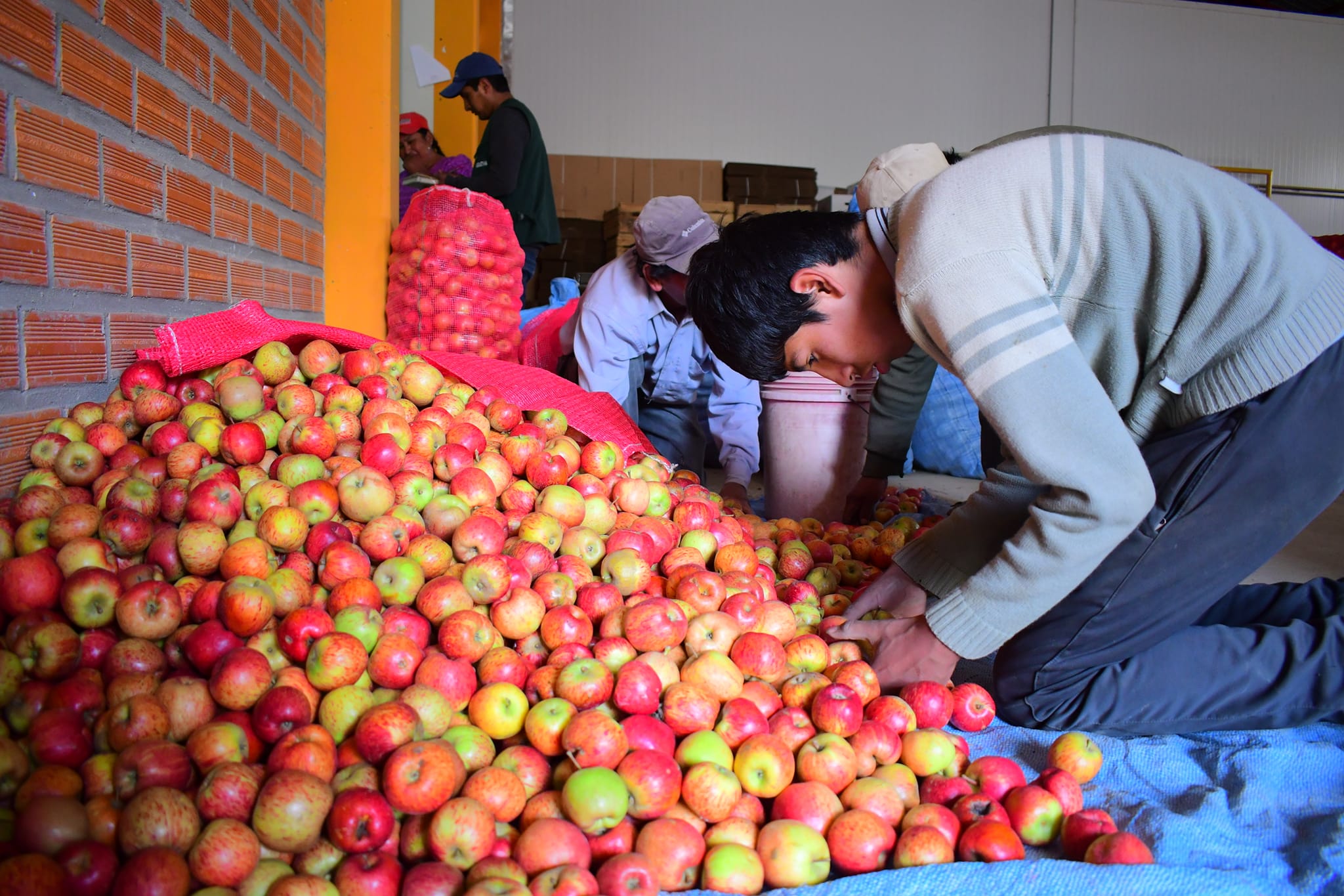 Se construirá una planta procesadora de frutas en Culpina con una inversión de Bs 77,4 millones