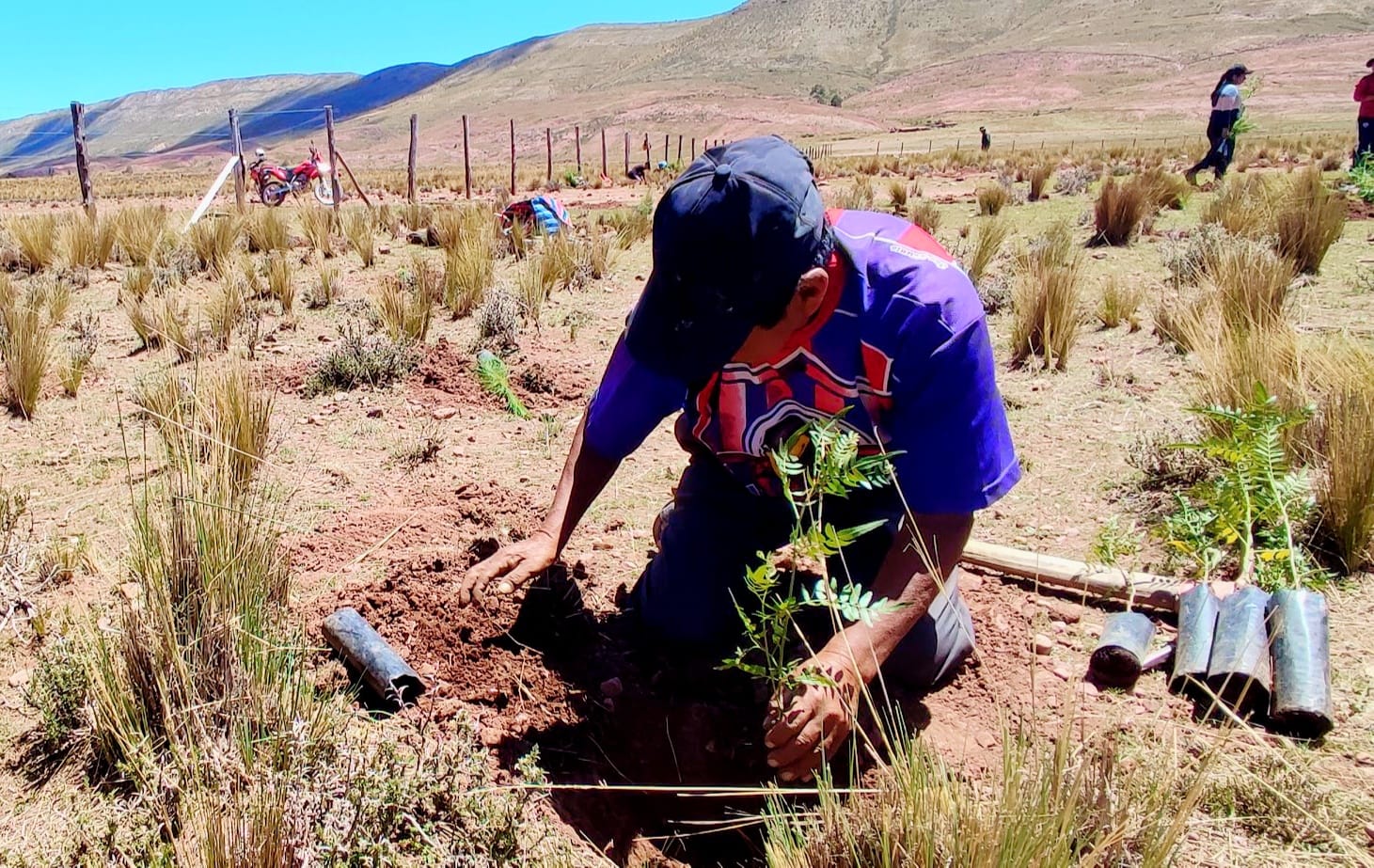 Se plantaron más de 40.000 arbolitos en San Lucas durante 2023