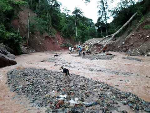 Sedcam: Rehabilitación del camino hacia El Palmar estará hasta fin de mes