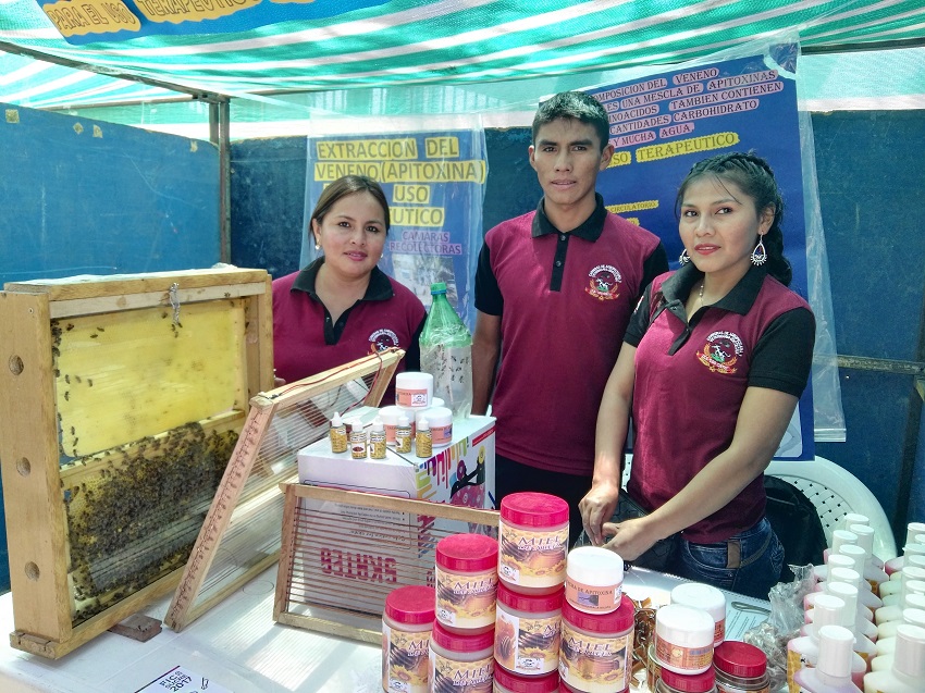 Seleccionan al proyecto Apitoxina de los Cintis para feria nacional