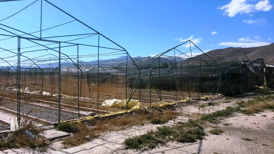 Vivero Forestal Municipal de Culpina colapsó por el viento y granizo